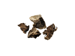Kuth Root (Kushta) – Ayurvedic Healing Herb