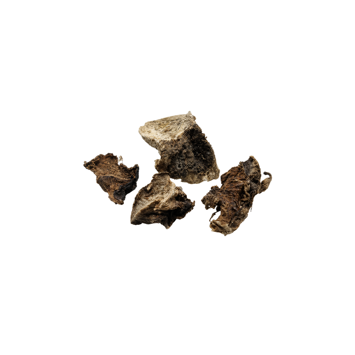 Kuth Root (Kushta) – Ayurvedic Healing Herb