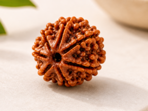 7 Mukhi Rudraksha Wealth & Prosperity Bead
